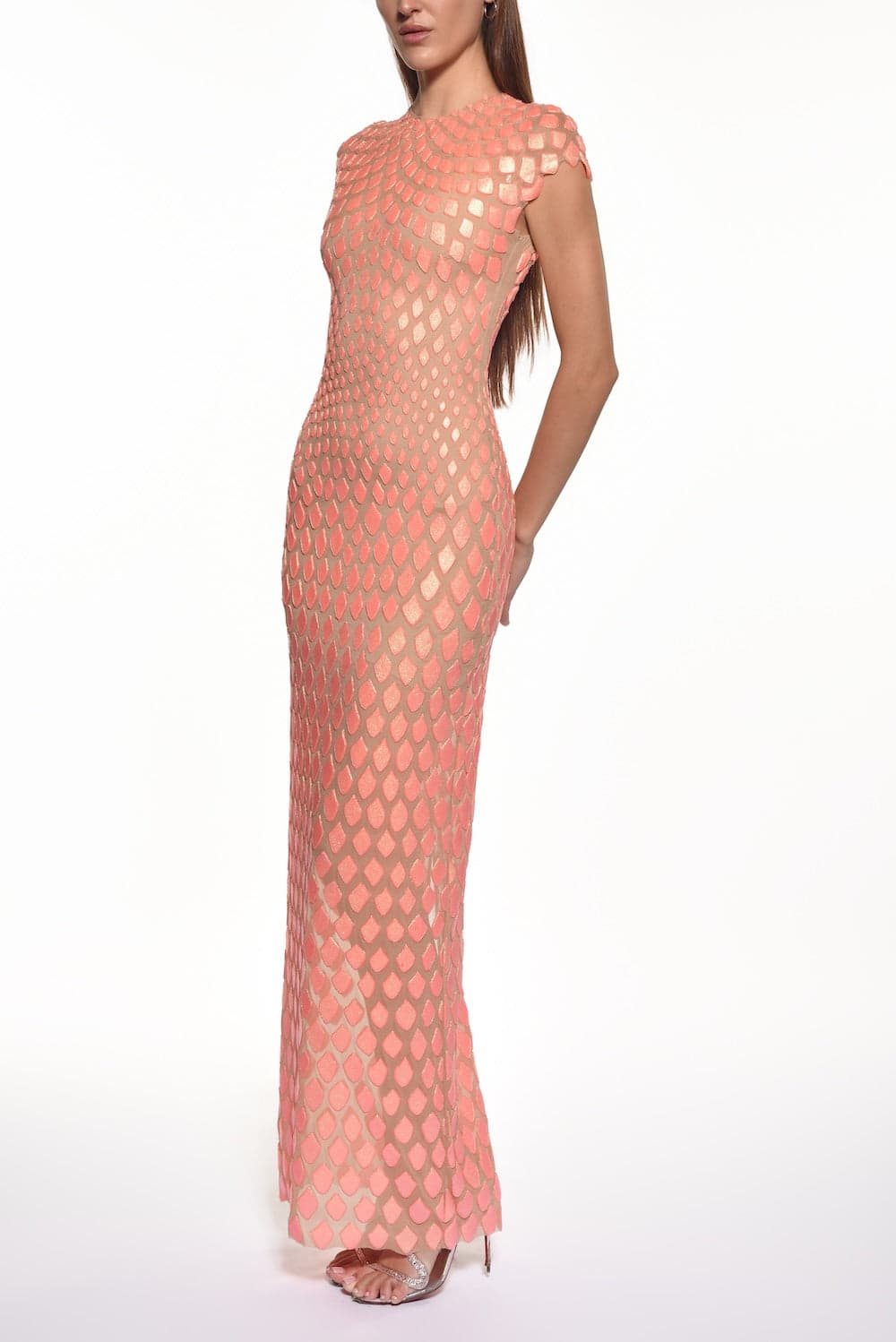 Dragonar Cap Sleeve Gown – Runway